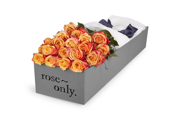 roseonly甄选父亲节礼物 用玫瑰致意如山父爱