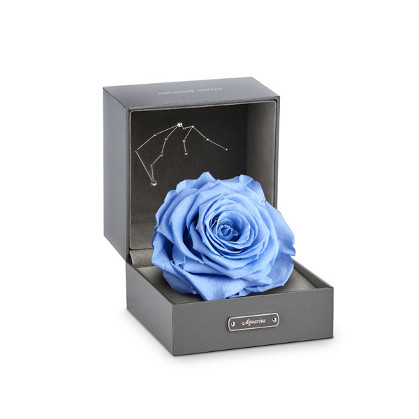为你守护 roseonly水瓶座单品甄选