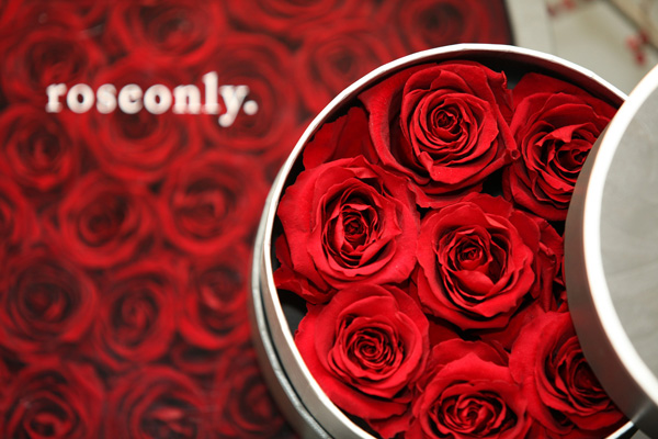 roseonly三周年 不忘初心陪你度过漫长岁月
