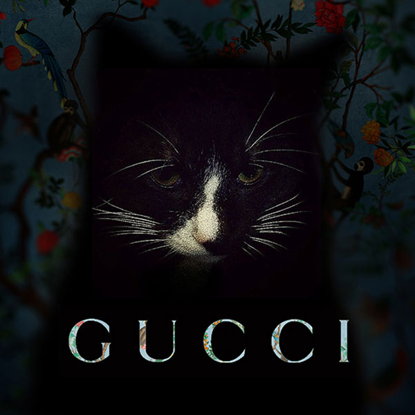 Gucci 古驰再次推出数字创意项目